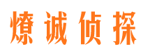 莲花市调查公司